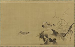 17世紀初頭から18世紀初頭にかけての江戸時代の風景の中のアヒル（絹にインクと色） 作： Kano Tsunenobu